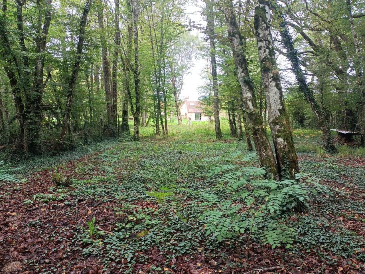 Suite Balneo En Bord De Foret Pouzy-Mesangy Dış mekan fotoğraf