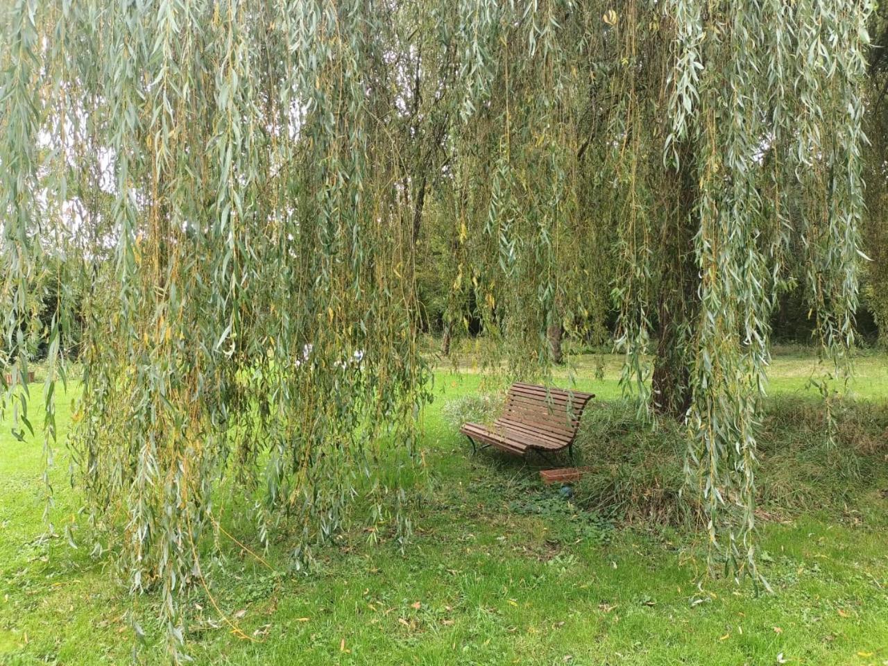 Suite Balneo En Bord De Foret Pouzy-Mesangy Dış mekan fotoğraf