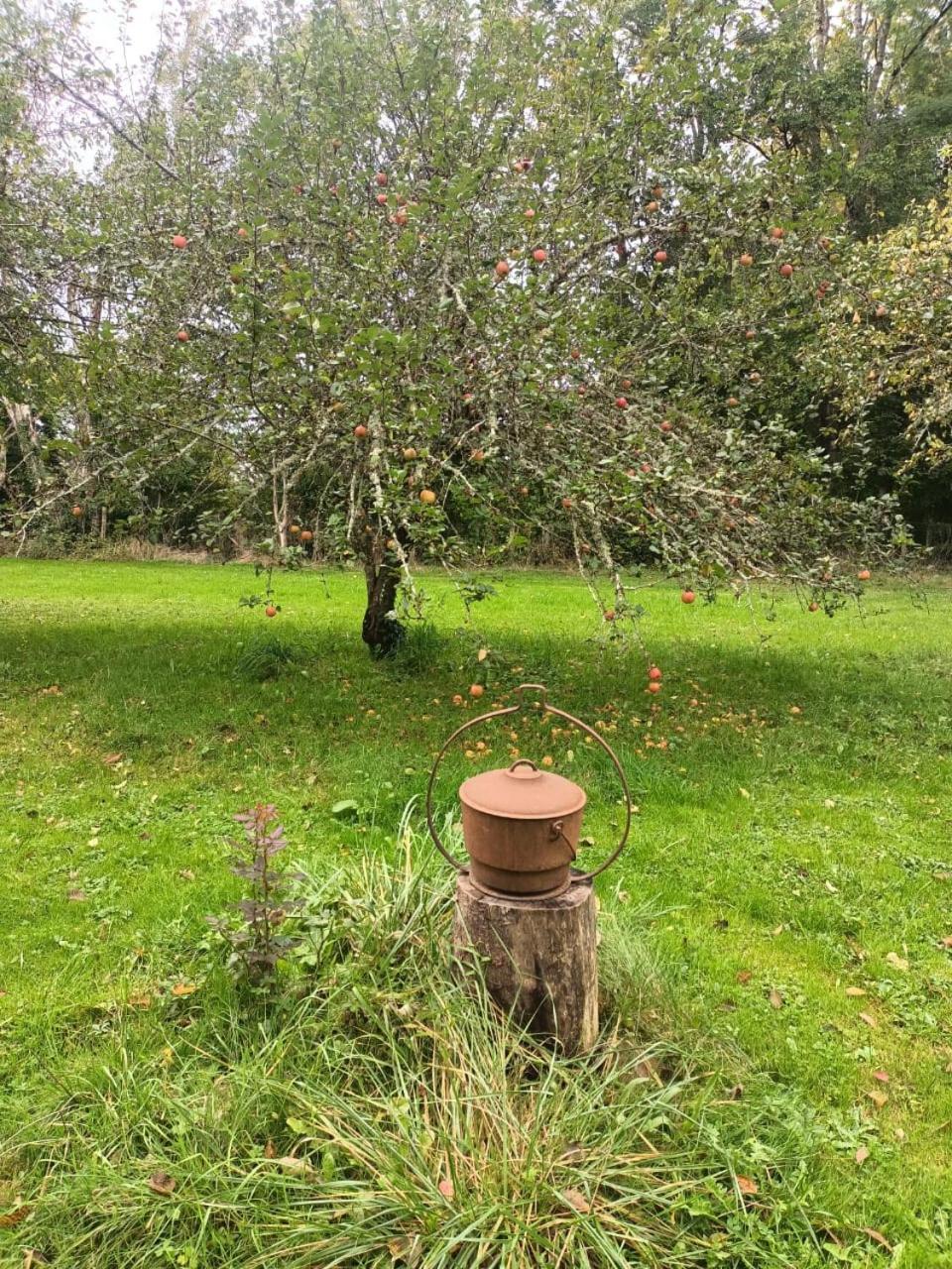 Suite Balneo En Bord De Foret Pouzy-Mesangy Dış mekan fotoğraf